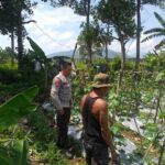 Polsek Kuripan Dorong Ketahanan Pangan, Warga Antusias!