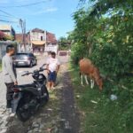 Sosialisasi Pangan Sehat: Bhabinkamtibmas Ajak Warga Tanam Sayur