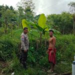 Bhabinkamtibmas Desa Kedaro Dorong Warga Manfaatkan Pekarangan untuk Ketahanan Pangan
