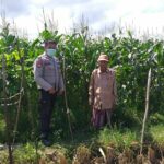 Bhabinkamtibmas Sosialisasi Pemanfaatan Lahan Kosong untuk Pangan