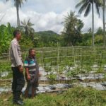 Dukung Ketahanan Pangan, Polri Aktif di Desa Batu Putih