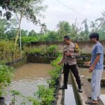 Ketahanan Pangan Dimulai dari Dusun Pesongoran, Lombok Barat