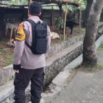 Inisiatif Bhabinkamtibmas di Lombok Barat: Pekarangan Jadi Lumbung Pangan