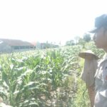 Bhabinkamtibmas Labuapi Ajak Warga Optimalkan Lahan Pekarangan untuk Ketahanan Pangan