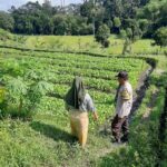 Polsek Kediri Dorong Ketahanan Pangan Warga Montong Are