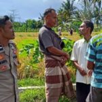 Peran Polisi di Tengah Sawah: Ketahanan Pangan Dimulai dari Dusun Rumak Barat