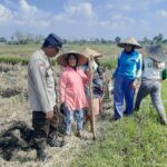 Ketahanan Pangan Dimulai dari Desa: Langkah Humanis Bhabinkamtibmas Montong Are