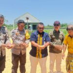 Jagung Desa Beleka dengan Kadar Air 10,3 KA Siap Serap Bulog NTB